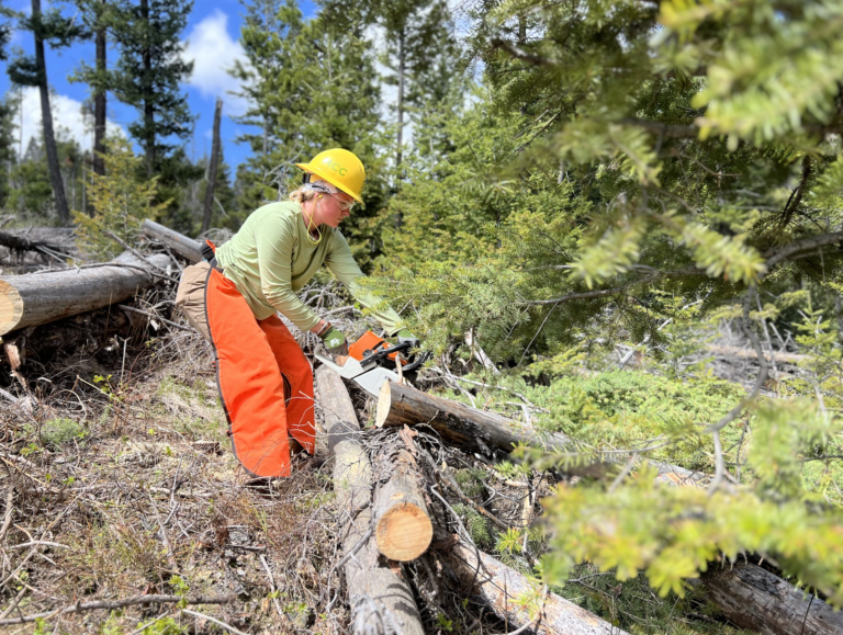 Chainsaw work on trail